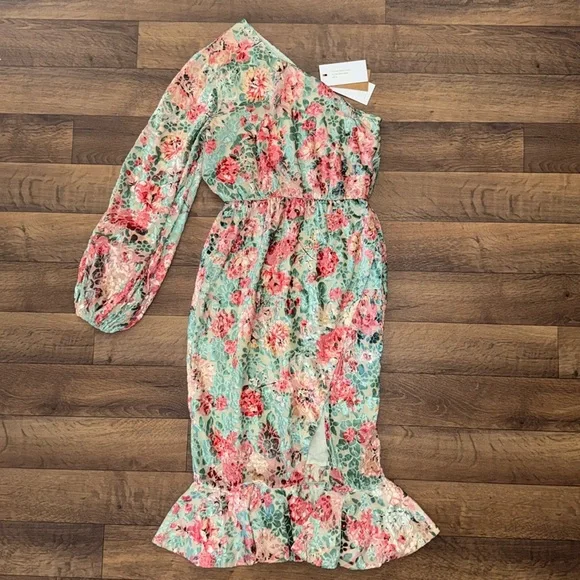 HEMANT & NANDITA | Dresses | Hemant Nandita Size Medium Nwt Olivia Floral  Dress Sage Green Burnout Velvet | Poshmark